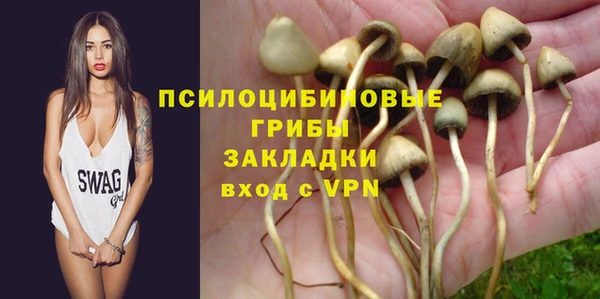 синтетический гашиш Алексеевка