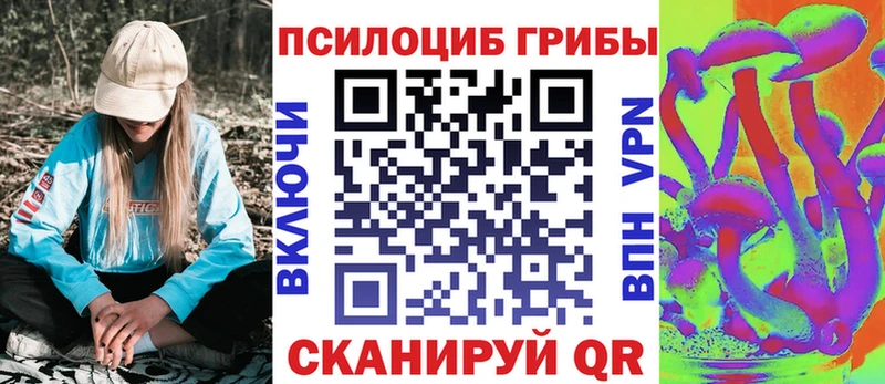Галлюциногенные грибы Magic Shrooms  где найти   Бикин 